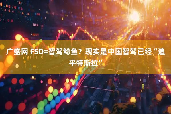 广盛网 FSD=智驾鲶鱼？现实是中国智驾已经“追平特斯拉”