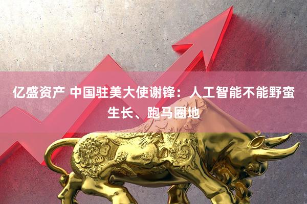 亿盛资产 中国驻美大使谢锋：人工智能不能野蛮生长、跑马圈地